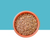 Jilberry Coriander seeds