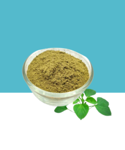 Jilberry Indian Nettle powder