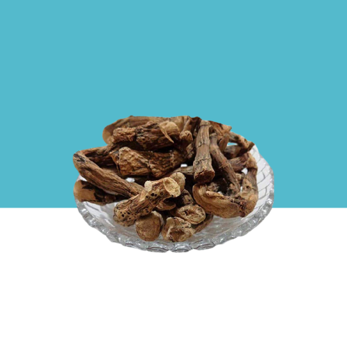 Jillberry sarsaparilla root dried