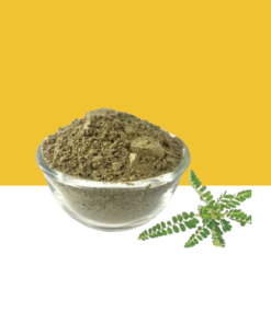 Jilberry Phyllanthus Niruri Powder