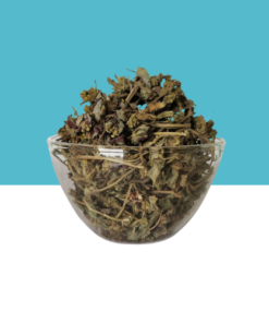 Jilberry Snake Weed