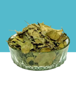 Jilberry Gymnema Sylvestre Leaves Dried