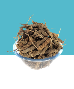 Jilberry Drid indian screw tree