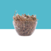 jilberry spade flower dried