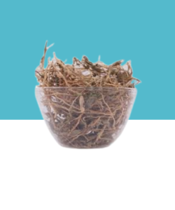 jilberry spade flower dried