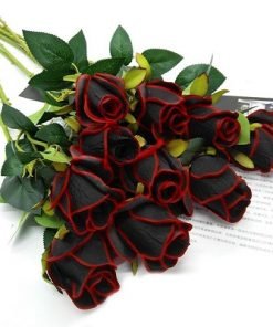Black Rose with Red Edge Flower Seeds
