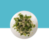Jilberry Mountain Knot Grass Flower