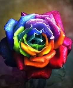Mystic Rainbow Rose Flower Seeds