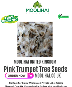 Pink Trumpet Tree Seeds (Tabebuia Rosea)