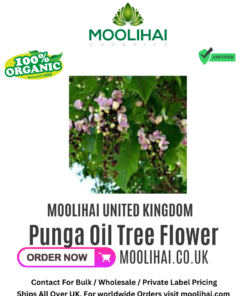 Punga Oil Tree Flower / Punga Poo