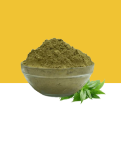 Jilberry Andrographis Powder