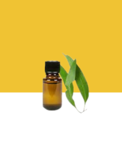 Jilberry Eucalyptus Essential Oil