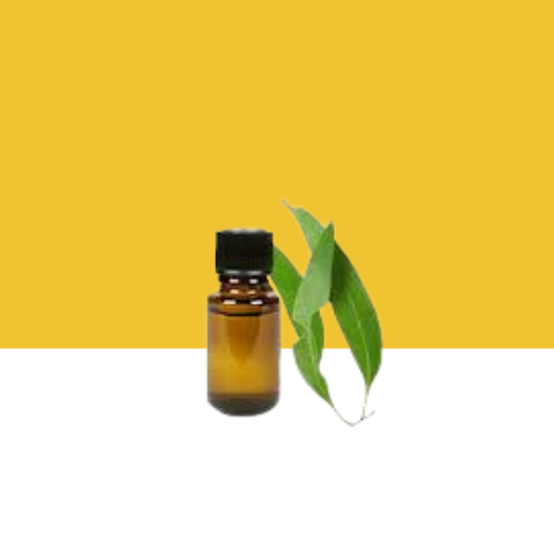 Jilberry Eucalyptus Essential Oil